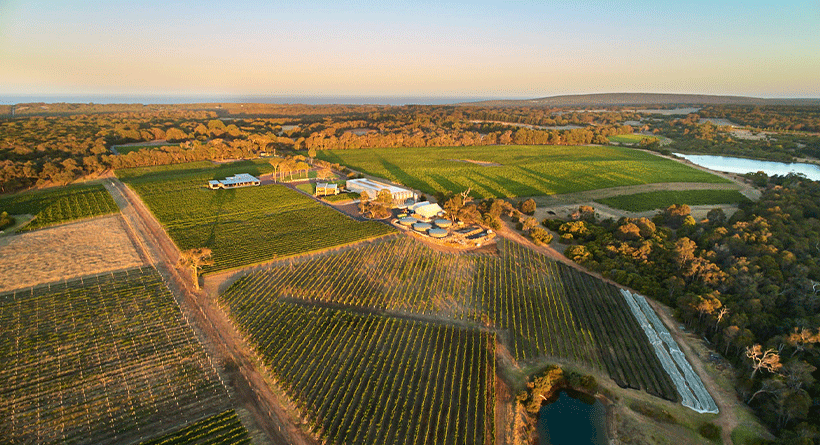 Amelia Park Vineyard